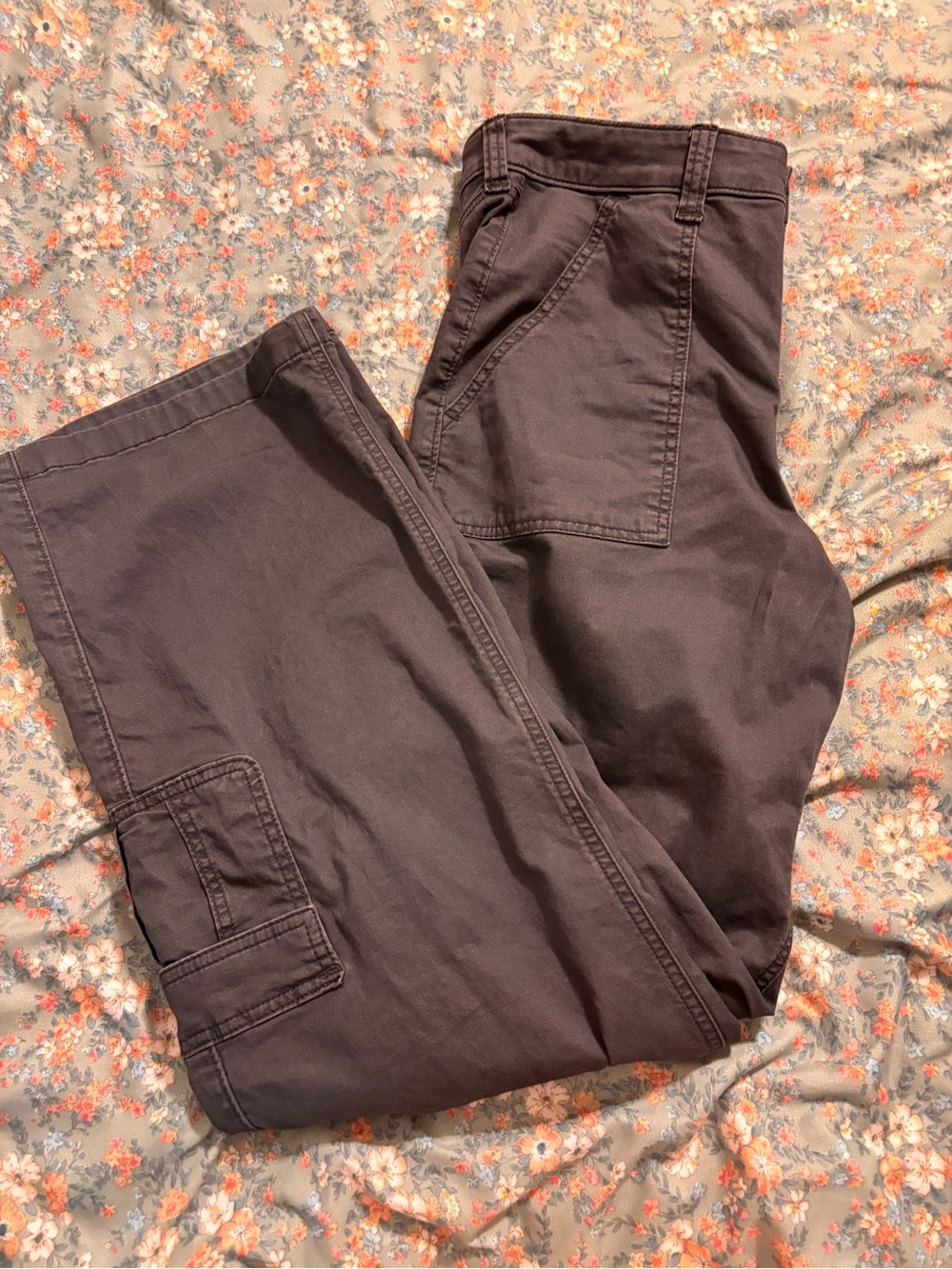 Hollister Cargo Pants